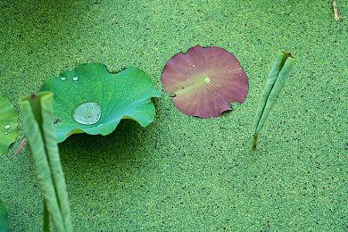 《影子武士3》发布1.04补丁更新 添加新难度英雄模式